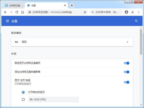 比特球?yàn)g覽器軟件下載與使用指南 v1.2.7.1官方版在當(dāng)易網(wǎng)上的安全獲取